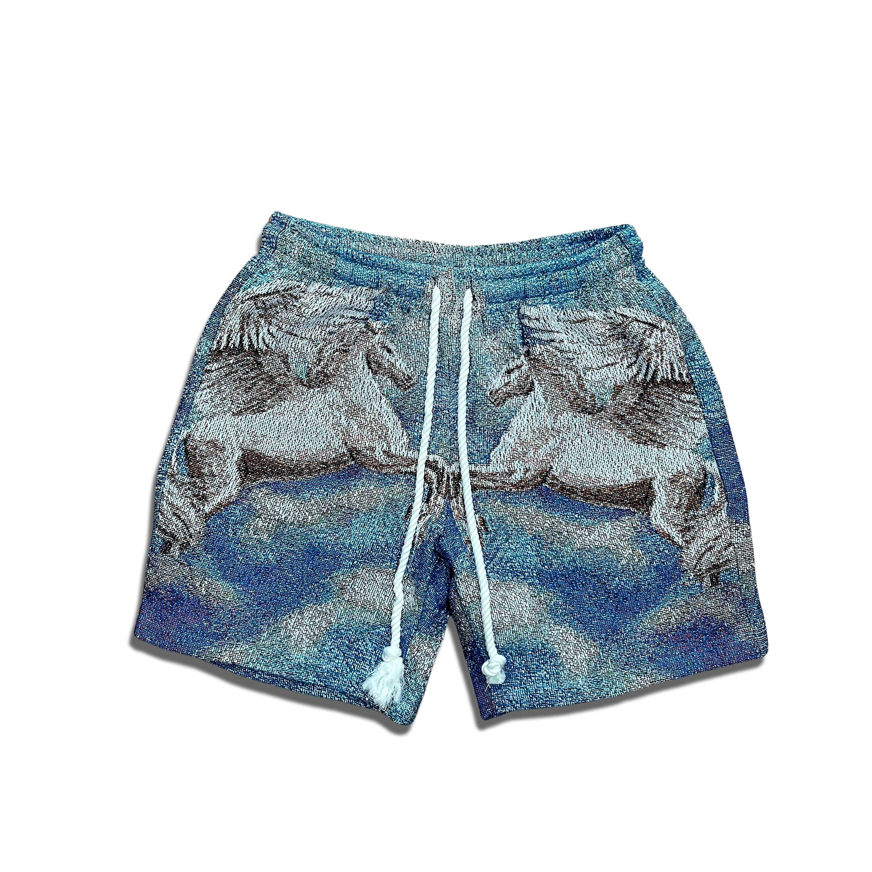 Shorts 'Pegasus'